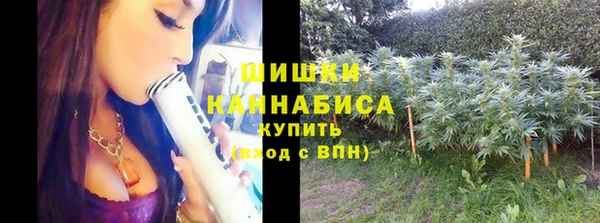 PSILOCYBIN Алексин