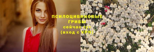 каннабис Арсеньев